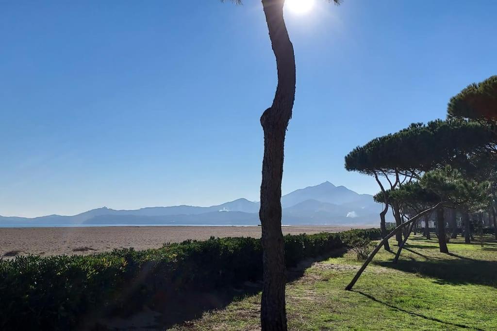 Appartement Renove Avec Balcon A 100 M De La Plage Argelès-sur-Mer Extérieur photo